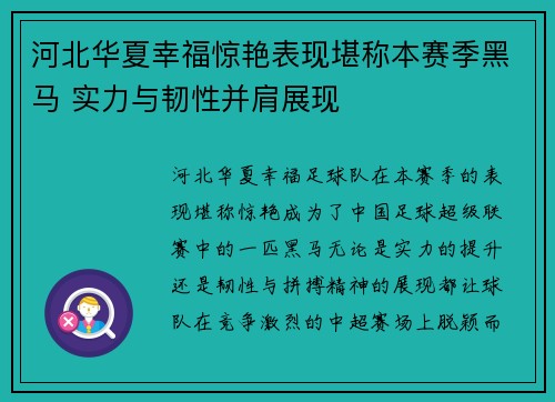 河北华夏幸福惊艳表现堪称本赛季黑马 实力与韧性并肩展现